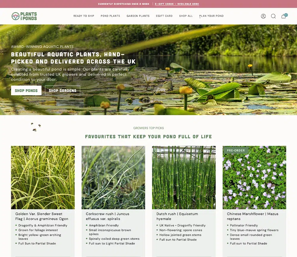 Plants for Ponds